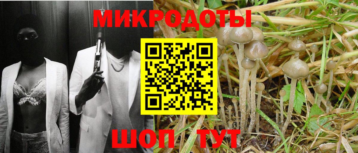 Галлюциногенные грибы ЛСД Мирный