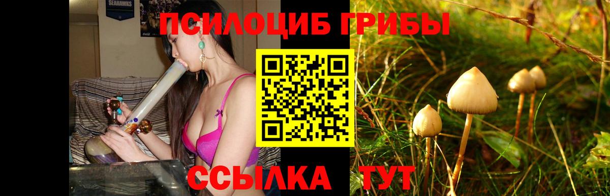 Мирный  даркнет сайт  Вход с VPN  Псилоцибиновые грибы MAGIC MUSHROOMS 
